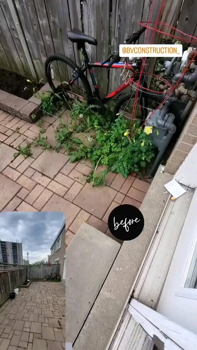 Shaping Backyard for Summer BBQ in Brampton.